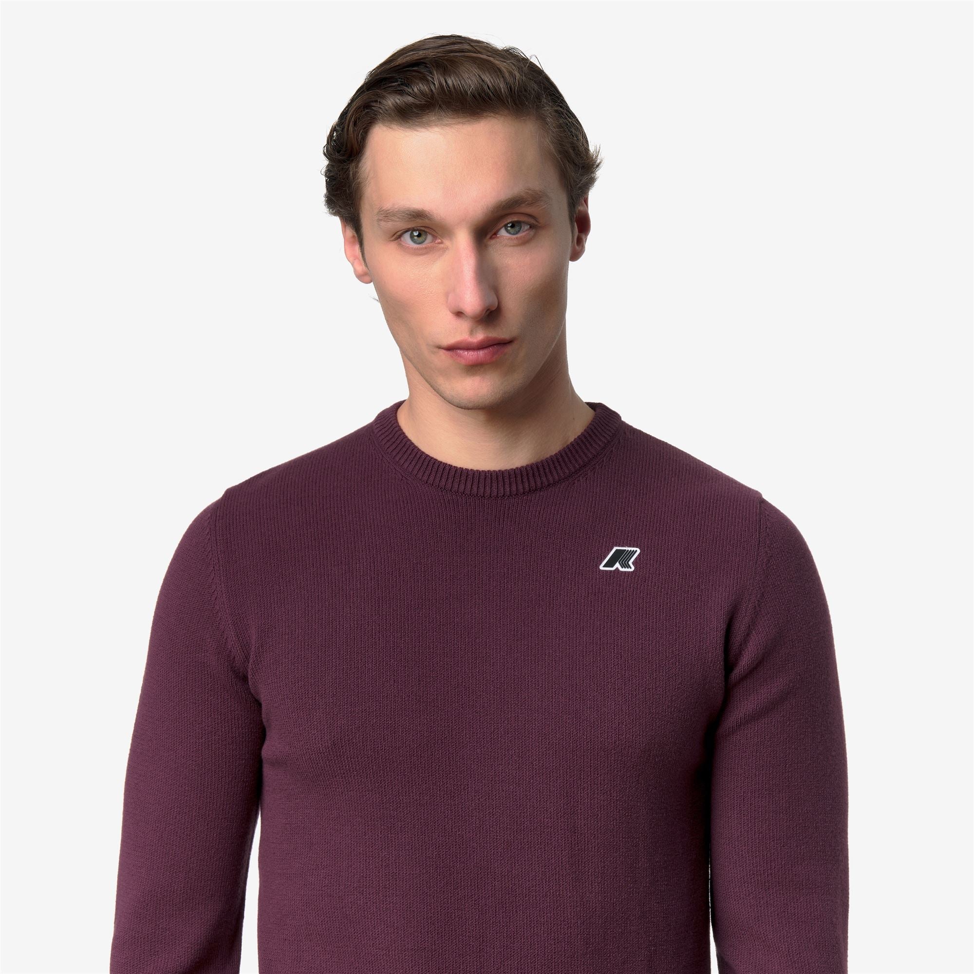 SEBASTIEN MIX COTTON GOLF - KNITWEAR - Pull  Over - Man - VIOLET MAUVE WINE - Image 2
