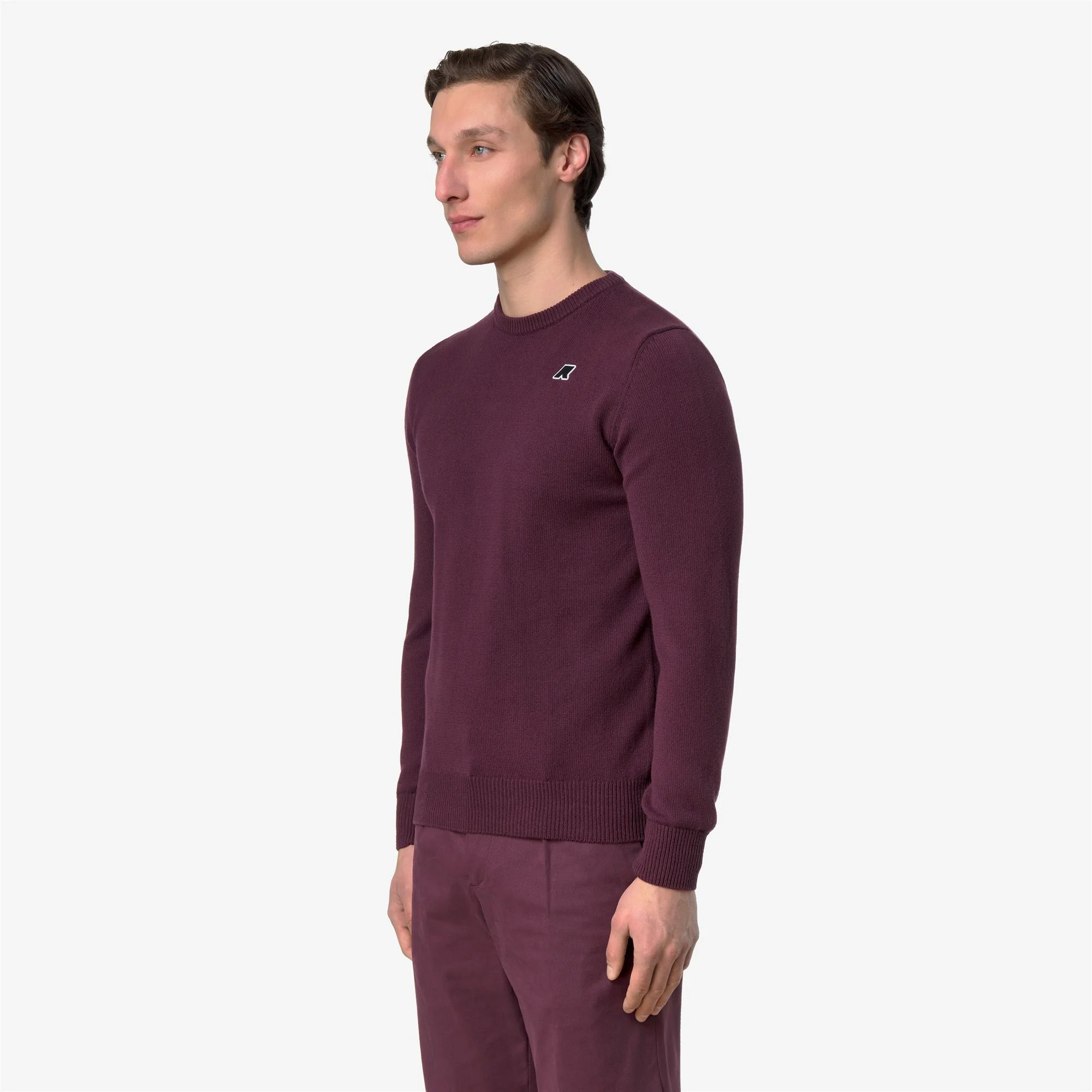 SEBASTIEN MIX COTTON GOLF - KNITWEAR - Pull  Over - Man - VIOLET MAUVE WINE - Image 4